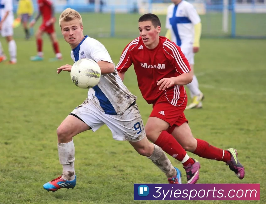 三亿电竞官网APP 封面图